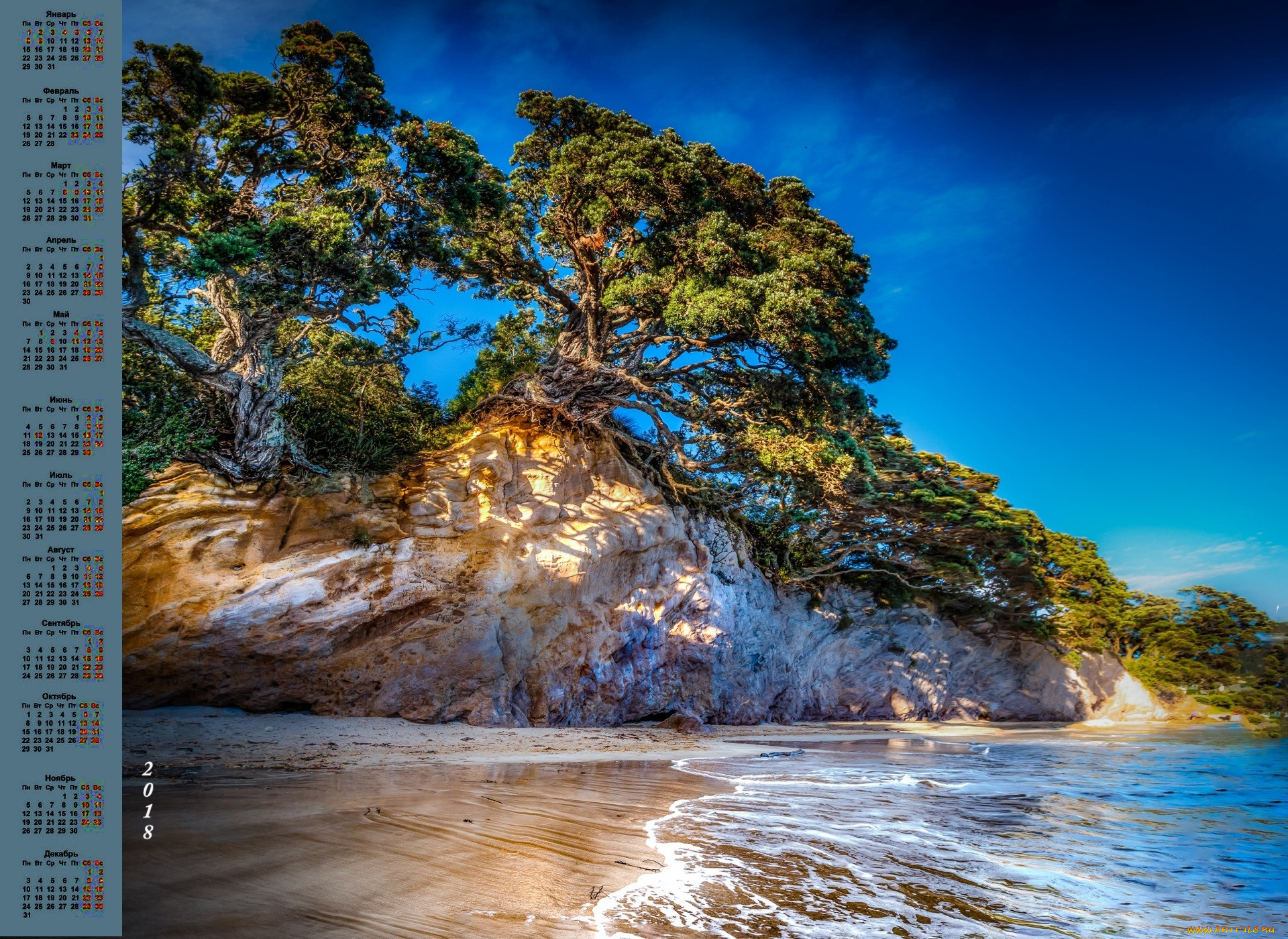 new zealand, , , , , 2018